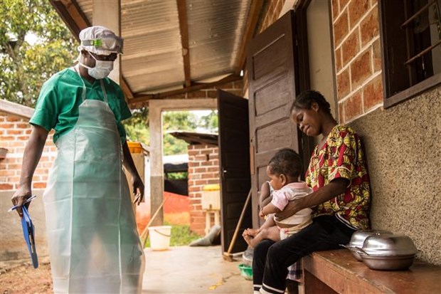 Đậu mùa khỉ: Từ ca nhiễm đầu tiên ở châu Phi đến tình trạng y tế khẩn cấp toàn cầu